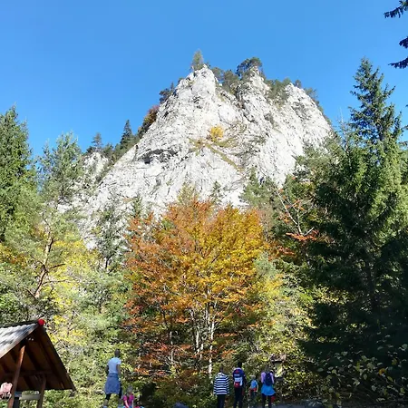 Liptovská Anna 101 * Liptovska Anna